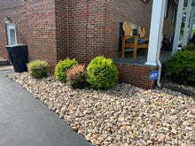 Load image into Gallery viewer, River Rock