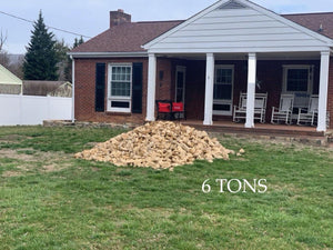 LARGE - River Decorative Stones - Roanoke Landscape Supply - 6 Tons