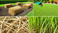 Straw Bales - Roanoke Landscape Supply - 
